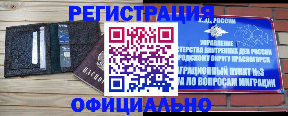 купить прописку в Мурманской области